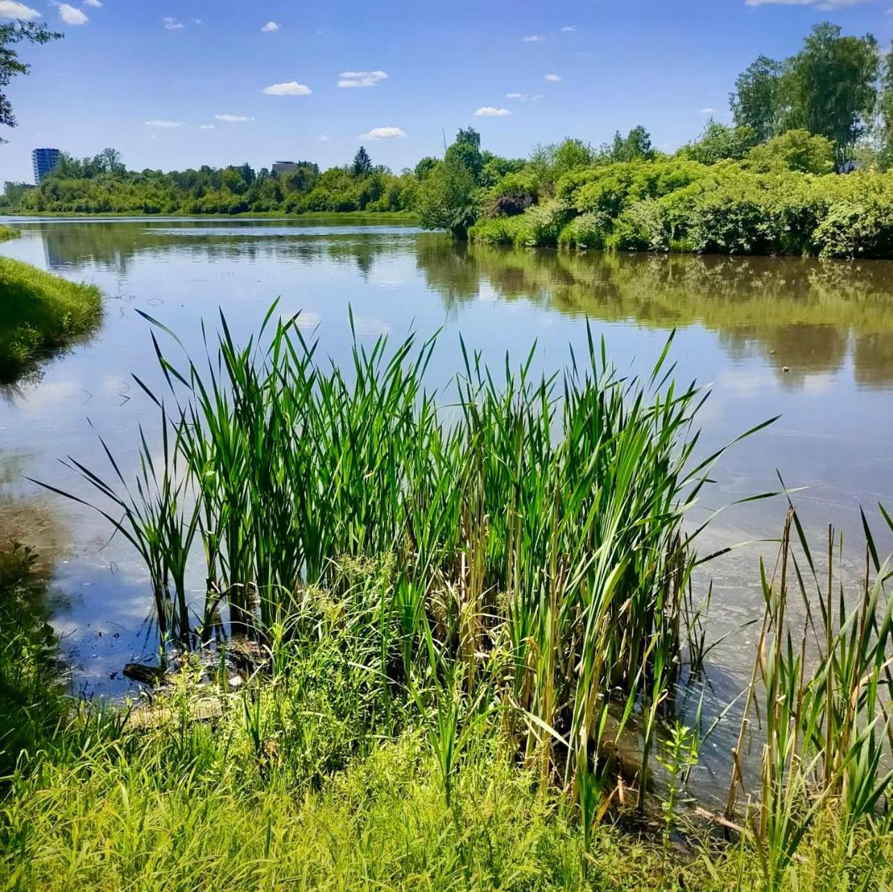 Apartamenty Kielce- Apartament Saphire Przy Zalew Kielecki, Faktura, Parking, Centrum المظهر الخارجي الصورة